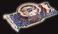 8800GT