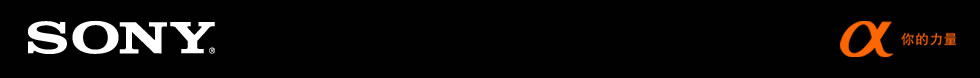 רҵ���� �����¦�230 ��330��������