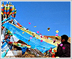 �῵ nikon�Ļƺ�Դ�������ţͷ��ƪ