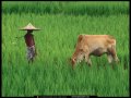 ����鿴