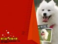 ����鿴