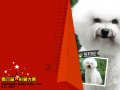 ����鿴