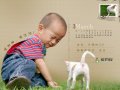 ����鿴