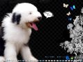 ����鿴
