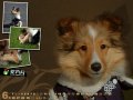 ����鿴