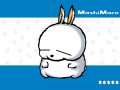 ����鿴