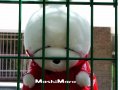 ����鿴