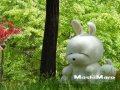 ����鿴