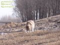 ����鿴