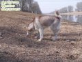 ����鿴