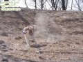 ����鿴
