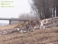 ����鿴