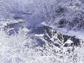 ����鿴