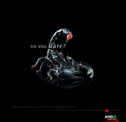 AMD 64 X2 5000+(�ں�)