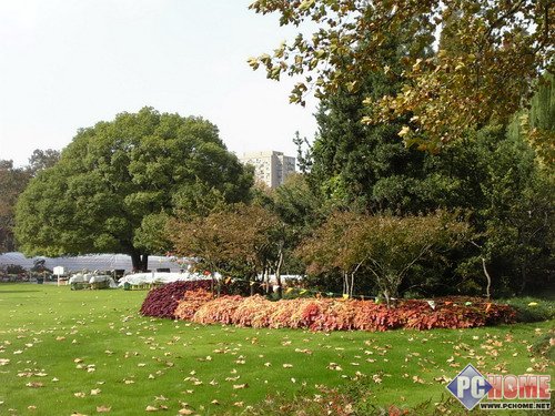 近乎完美破解!实战通话夏普904SH评测