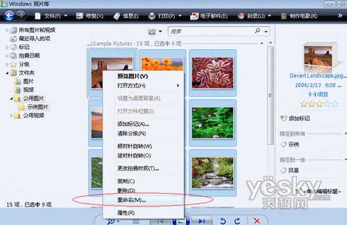Vista照片库中实现文件快速批量更名