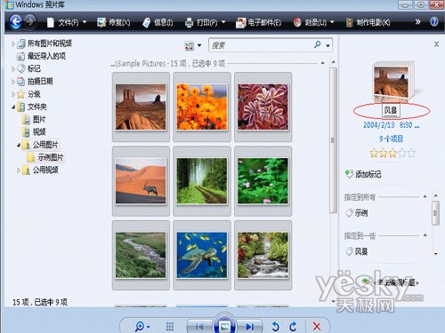 Vista照片库中实现文件快速批量更名