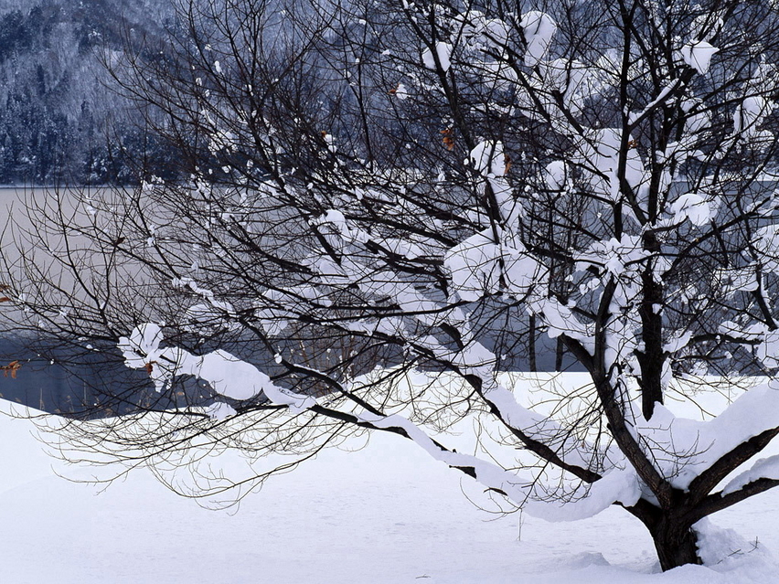 冰天雪地 冬天雪景壁纸
