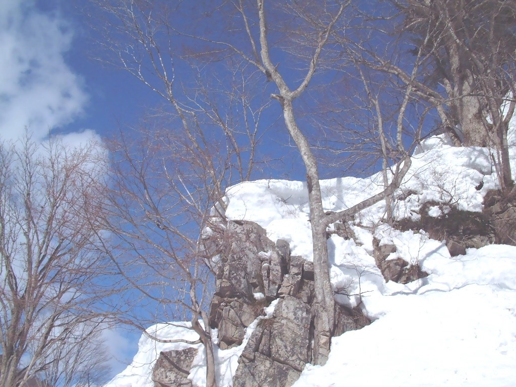 ��ѩ�����羰��ֽ ��2��
