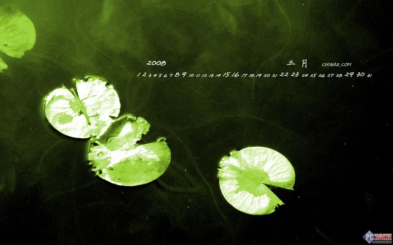 2008��3������Ψ���羰����