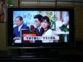 ����鿴