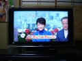����鿴