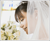 �����ʻ�������������