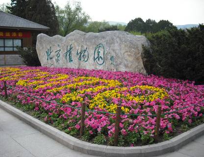 春暖花开带上富士J10在桃花雨中穿行