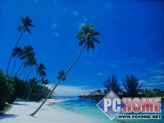 ����NWZ-A826
