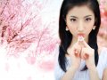 ����鿴