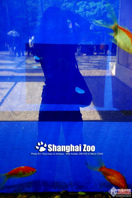 春卷与Anneya 柯达尼康ZOO情侣外拍