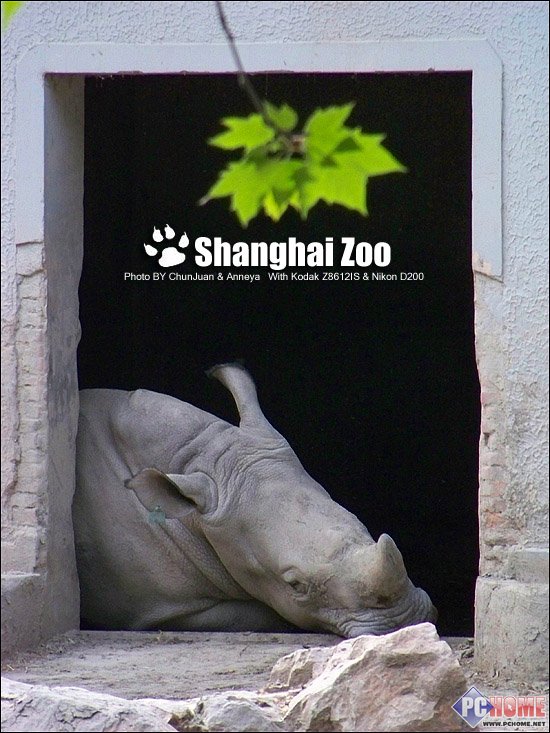 春卷与Anneya 柯达尼康ZOO情侣外拍