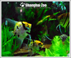 ������Anneya �´��῵ZOO��������