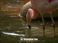 ����鿴