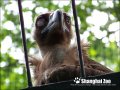 点击查看