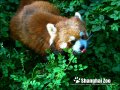 点击查看