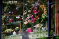 点击查看