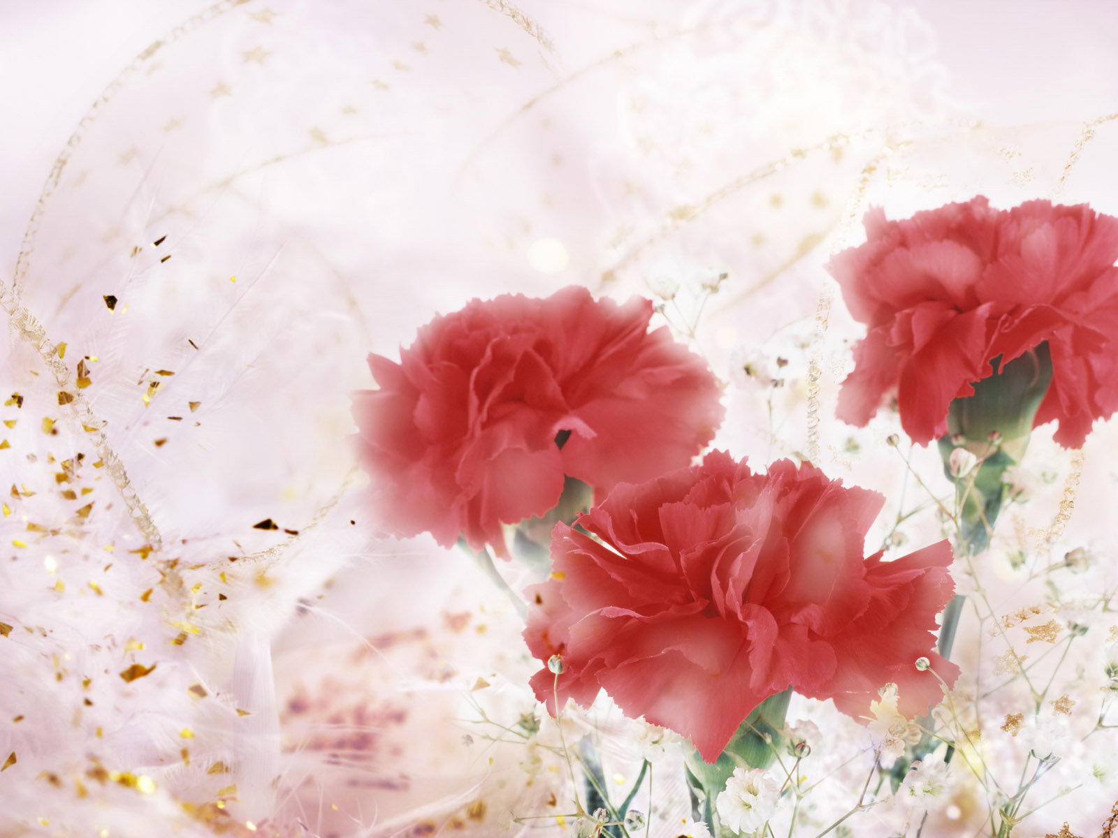 ĸ�׽����� ����ܰ��ֽ ��02��