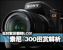 ʵʱȡ����תLCD �����300ͼ�ͽ���