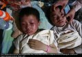 点击查看
