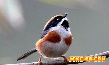 �̵�ǧ��ٹֵ��Ը�����[��ͼ]