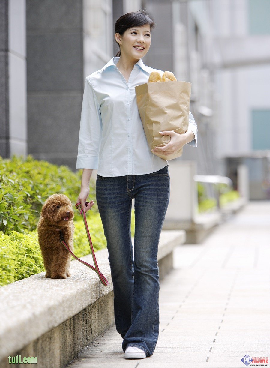 狗狗与美女屏保