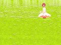 ����鿴