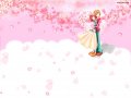 ����鿴