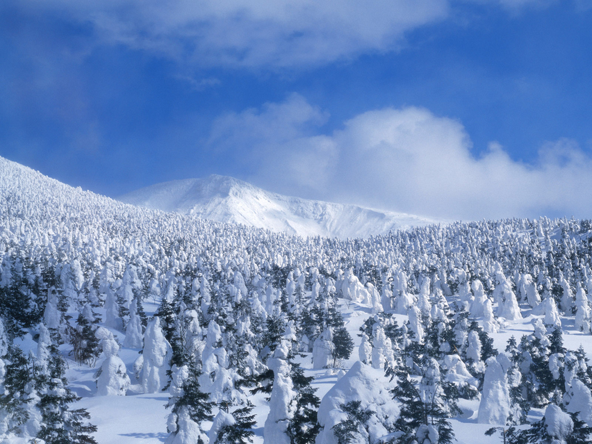 {冬天公园雪景的作文}.
