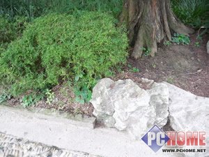 ��ս1000�����أ�Benson��������C700�����ֻ�