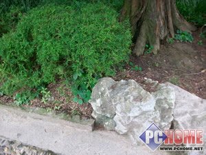 ��ս1000�����أ�Benson��������C700�����ֻ�