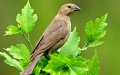����鿴