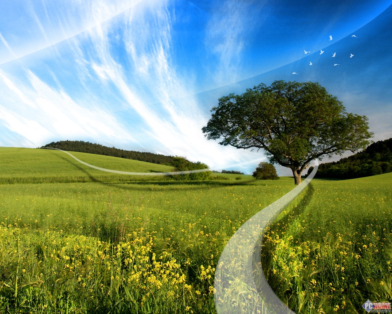 Desktopography �����Ӿ�����