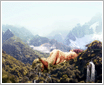 Desktopography �����Ӿ�����